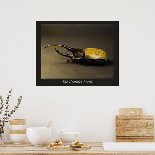 De Hercules Beetle Poster (Keuken)