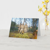 De herdenkings Groet van de Dag voor de Veteranen Kaart (Gele Bloem)