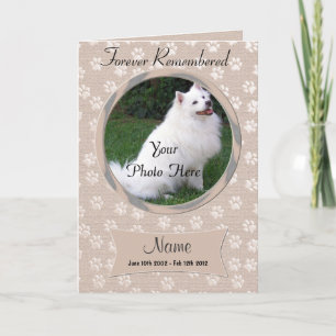 De HerdenkingsAankondiging van de Hond of van de Aankondiging