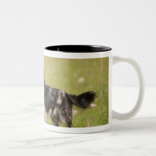 De herder van de Pyrenese staat in de wachtlijst o Tweekleurige Koffiemok