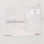 De herders van Arcadia door Nicolas Poussin Briefkaart (Achterkant)