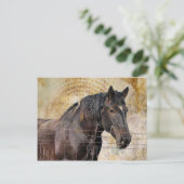 De Heren, een conceptpaard Briefkaart (Staand voorkant)