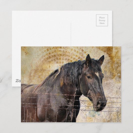 De Heren, een conceptpaard Briefkaart (Voorkant / Achterkant)