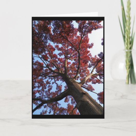 De herfst ~ 18 kaart (Voorkant)