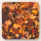 de herfst bier onderzetter (Voorkant)
