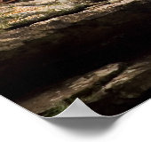 De herfst bij de Grist Mill druk Poster (Hoek)