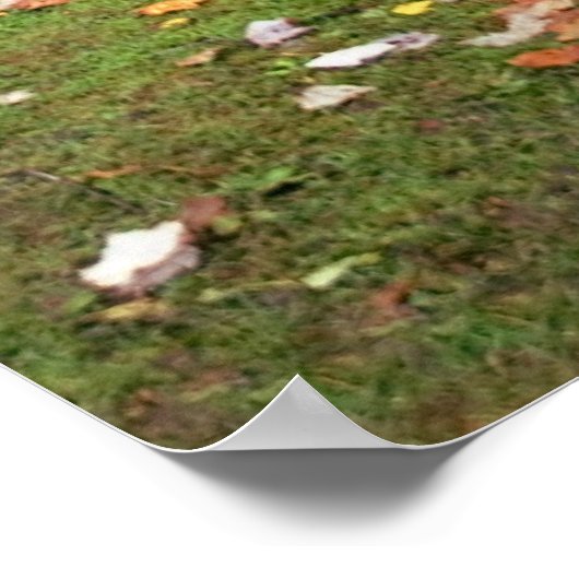 De herfst bij de Grist Mill druk Poster (Hoek)