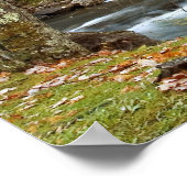 De herfst bij de Grist Mill druk Poster (Hoek)