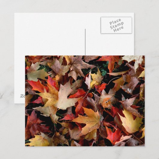 De herfst briefkaart (Voorkant / Achterkant)