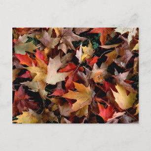 De herfst briefkaart