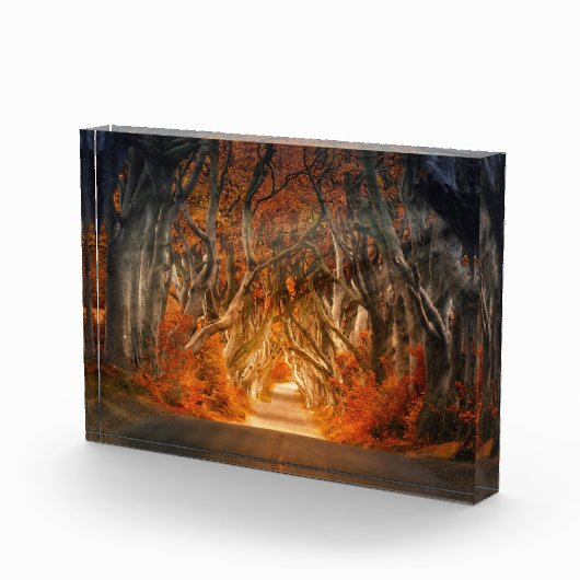 De herfst door de Dikte Fotoblokken (Rechts)