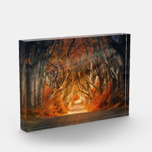 De herfst door de Dikte Fotoblokken (Links)