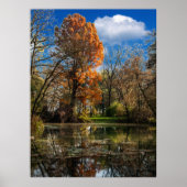 De herfst door een goed verborgen vijver, vol kleu poster (Voorkant)