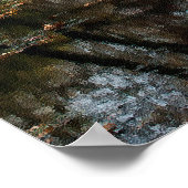 De herfst door een goed verborgen vijver, vol kleu poster (Hoek)