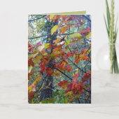 De herfst gestalte geeft aan kaart (Voorkant)