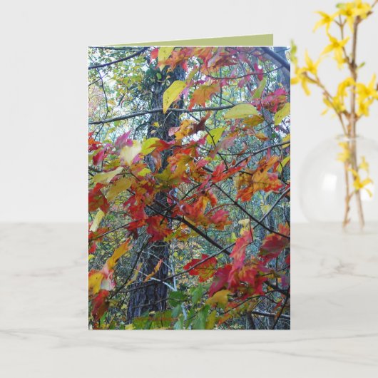 De herfst gestalte geeft aan kaart (Gele Bloem)