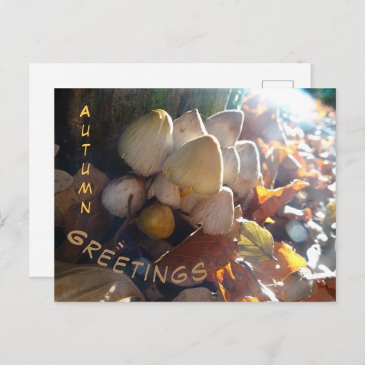 De herfst Greetings Sunny Toadstools Cust. Briefka Briefkaart (Voorkant / Achterkant)