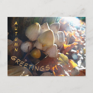 De herfst Greetings Sunny Toadstools Cust. Briefka Briefkaart