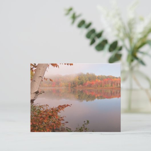 De herfst herinnert zich voorbij de Birch Briefkaart (Staand voorkant)