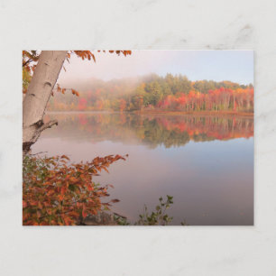 De herfst herinnert zich voorbij de Birch Briefkaart