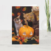 De herfst - het Wenskaart van de Halloween Kitten Kaart (Voorkant)