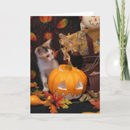 De herfst - het Wenskaart van de Halloween Kitten Kaart (Voorkant)