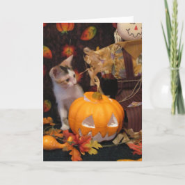 De herfst - het Wenskaart van de Halloween Kitten Kaart