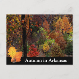 De herfst in Arkansas/Herfst Seizoensbomen Foto Briefkaart