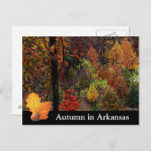 De herfst in Arkansas/Herfst Seizoensbomen Foto Briefkaart (Voorkant / Achterkant)