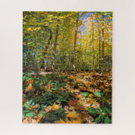 De herfst in Central Park New York Jigzaag Puzzle Legpuzzel