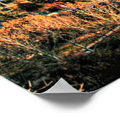 de herfst in Edmonton, Poster (Hoek)