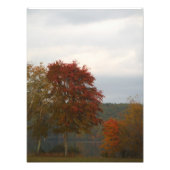 De herfst in het Arrowadmeer. Foto Afdruk (Voorkant)