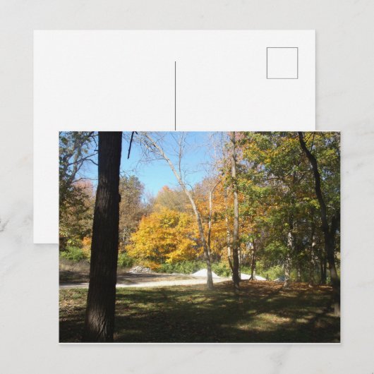 De herfst in het Midwesten Briefkaart (Voorkant / Achterkant)