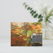 De herfst in Nikko, Japan Briefkaart (Staand voorkant)