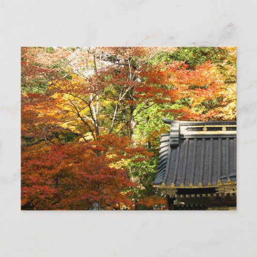 De herfst in Nikko, Japan Briefkaart (Voorkant)