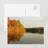 De herfst in Walden Briefkaart (Voorkant / Achterkant)