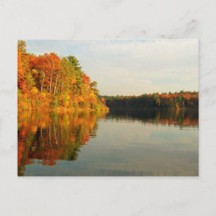 De herfst in Walden Briefkaart