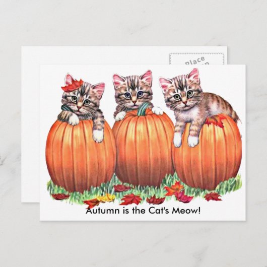 De herfst is het Briefkaart Meow van Cat. (Voorkant / Achterkant)