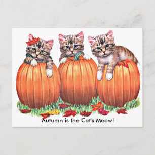 De herfst is het Briefkaart Meow van Cat.