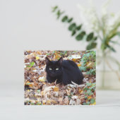 De herfst is hier Black Cat Briefkaart (Staand voorkant)