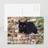 De herfst is hier Black Cat Briefkaart (Voorkant / Achterkant)
