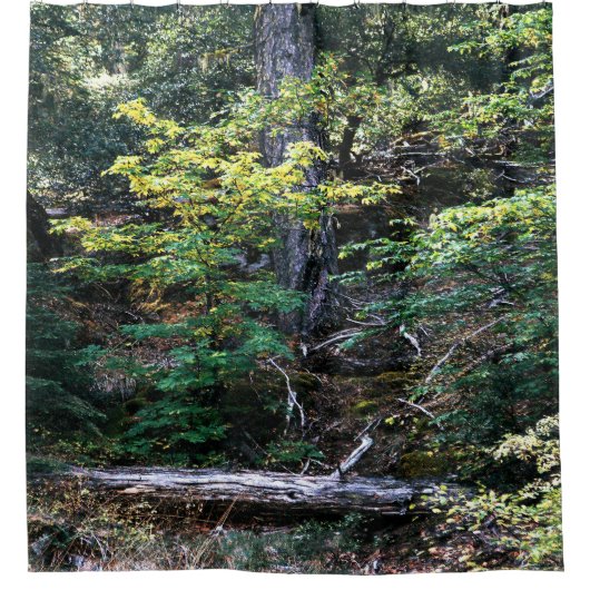 De herfst is hier..... douchegordijn (Voorkant)