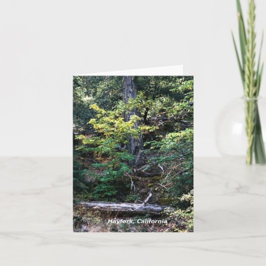 De herfst is hier...... kaart (Voorkant)