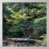 De herfst is hier...... poster (Voorkant)