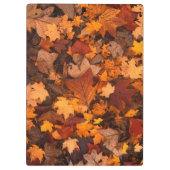 de herfst klembord (Achterkant)