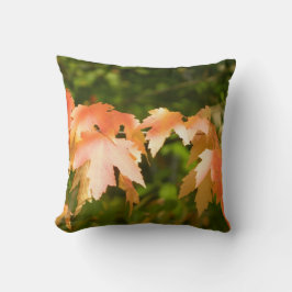 De herfst laat de gloedbuis kussen