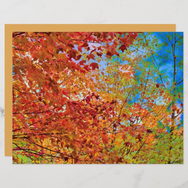 De herfst laat de kleurrijke Oranje Herfst Théblau (Voorkant / Achterkant)