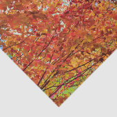 De herfst laat de kleurrijke Oranje Herfst Théblau Tissuepapier (Detail)