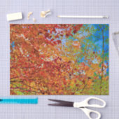 De herfst laat de kleurrijke Oranje Herfst Théblau Tissuepapier (Craft)