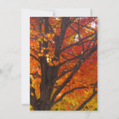 De herfst laat de repetitie van de binnenste uitno kaart (Achterkant)